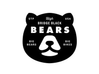 Bears & bridges