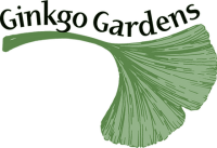 Gingko gardens