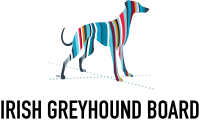 Irish greyhound board