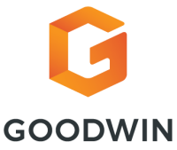 Goodwin therapy