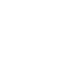 Kingston noble
