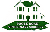 Poole road veterinary surgery
