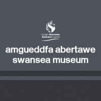 Swansea museum