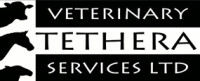 Tethera veterinary services ltd