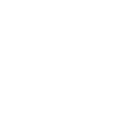 The tape agency limited