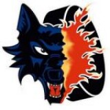Grenoble metropole hockey 38 - les brûleurs de loups
