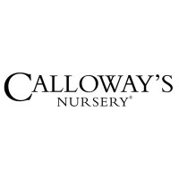Calloway's nursery