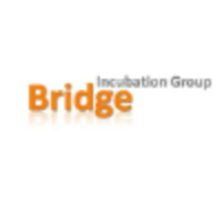 Bridge incubation group b.v.