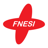 Fnesi - fédération nationale des étudiant.e.s en soins infirmiers