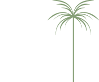 Palma speak