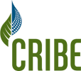 Cribe: centre for research & innovation in the bio-economy