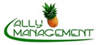 Ally management consultants