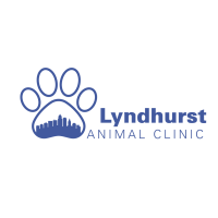 Lyndhurst animal hospital