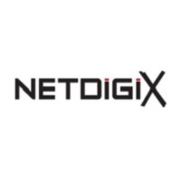 Netdigix systems inc