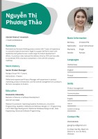 Vcv - vietnamese curriculum vitae