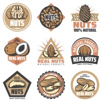 Yummy nuts market