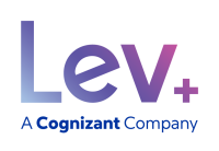 Leva business consulting group