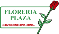Floreria plaza