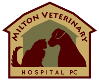 Dulital veterinary clinic