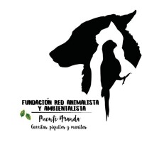 Fundación red animalista mendoza