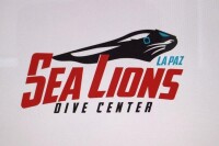 Sea lions dive center