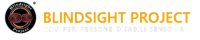 Blindsight project