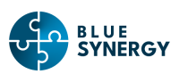 Synergy blue