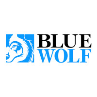 Blue wolf capital partners