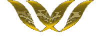 World yacht llc