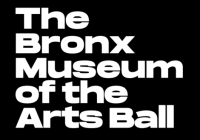 Bronx museum of the arts