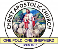 The apostolic church