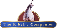 The ribeiro companies