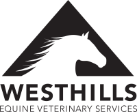 Equine veterinary services