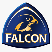 Falcon security company