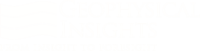Geophysical insights