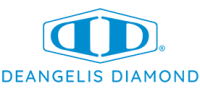 Deangelis diamond healthcare group, llc