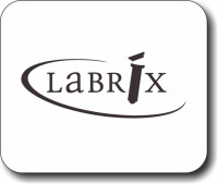 Labrix clinical services, inc.