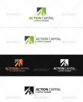 Action capital corporation