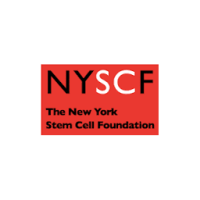 The New York Stem Cell Foundation