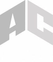 The ace agency