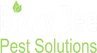 Bizzy bees pest control