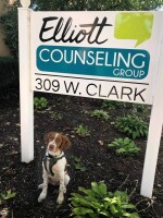Elliott counseling group