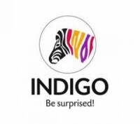 Indigo paint & contracting