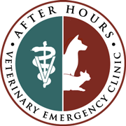 After hours veterinary emergency clinic