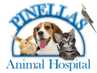 Pinellas animal hospital