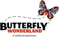 Butterfly wonderland