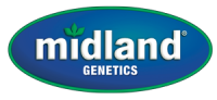 Midland genetics