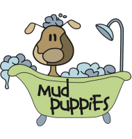 Mud puppies
