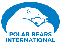 Polar bears international