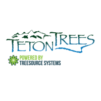 Teton trees, llc